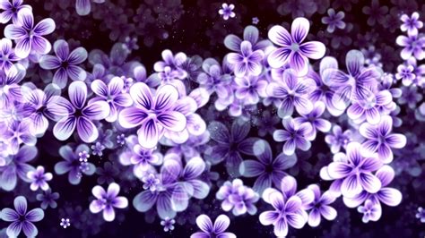 Hundreds Of Moving Purple Flowers 4k Relaxing Screensaver Youtube