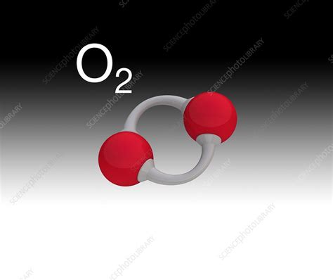 Oxygen Molecule Illustration Stock Image C0388413 Science Photo