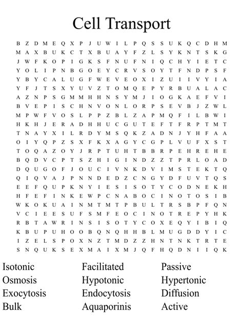 Cell Transport Word Search Wordmint