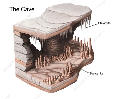 Stalactites And Stalagmites Illustration Stock Image C0279909