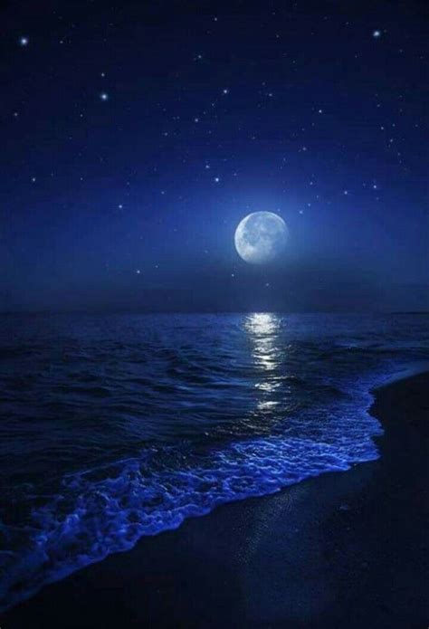 Ocean At Night Beach At Night Sky At Night Night Sky Stars Ocean