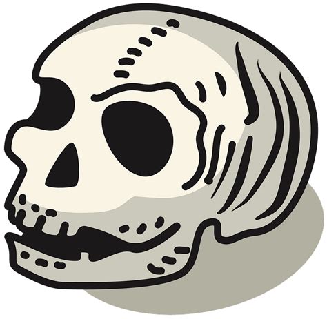 Human Skull Clipart Free Download Transparent Png Creazilla