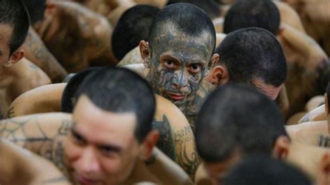 El Salvador Moves Suspected Gang Members To Mega Prison Amid War On