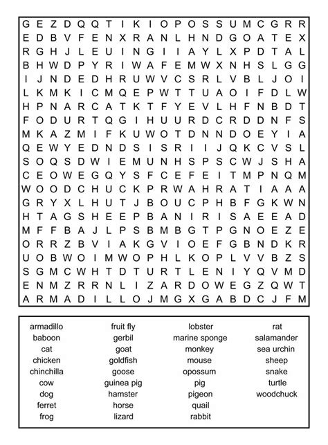 Puzzles Level 1 Word Search Grab And Go Easy Engaging Activities
