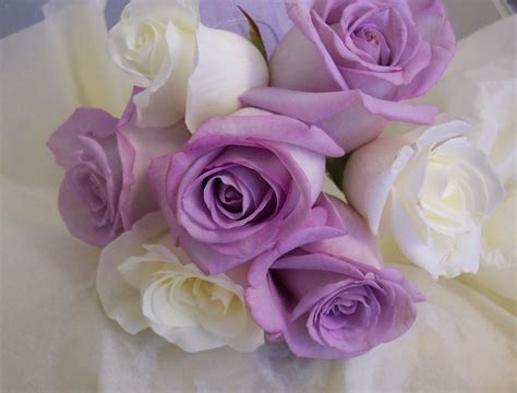 Simple Pastel Rose Bouquet Rose Bouquet Rose Pastel Roses