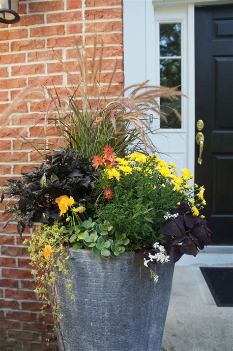 Pin By M Erbs Fine Gardens On Fall Container Ideas Fall Containers