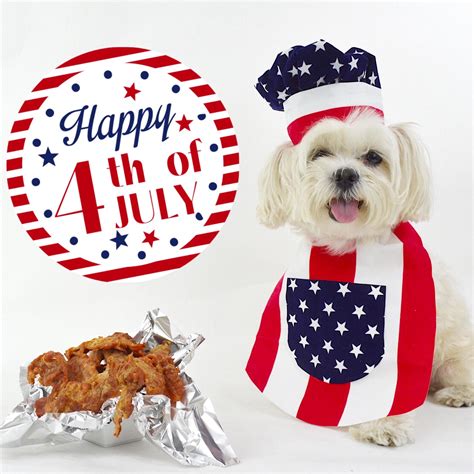 Dog Safety Tips For 4th Of July And Other Summer Holidays