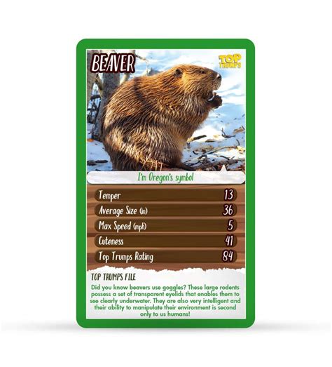 North American Wildlife Top Trumps Educational Card Game Top Trumps Usa