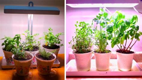 15 Indoor Herb Container Garden Ideas Slick Garden