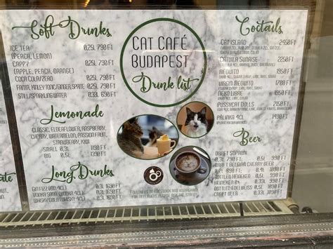 Menu At Cat Cafe Budapest Révay U 3