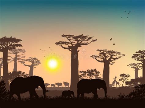 African Landscape Grass Trees Birds Animals Silhouettes Abstract