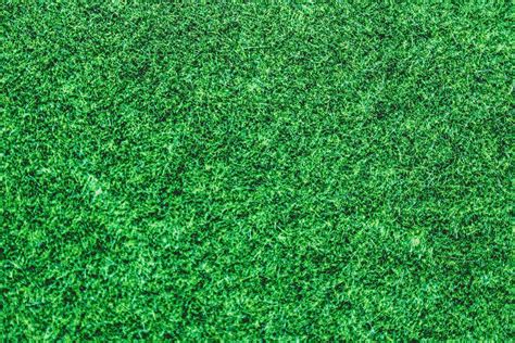 Green Grass Background Texture Free Stock Photo Public Domain Pictures