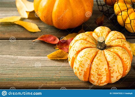 Autumn Pumpkin Thanksgiving Background Stock Photo Image Of October