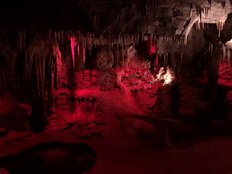 9142020 Highly Authentic Cave Setting Zoochat