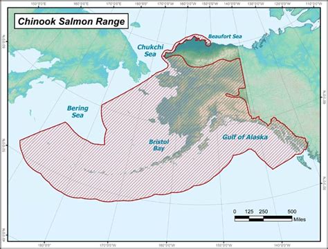 Chinook Salmon Range Map Alaska Department Of Fish And Game