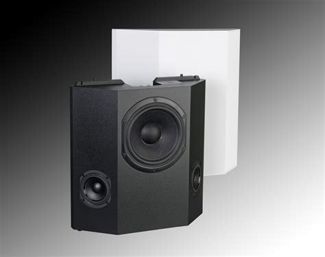 Triad Speaker On-Wall Silver Surround | AOE - Your Audio Visual Specialist