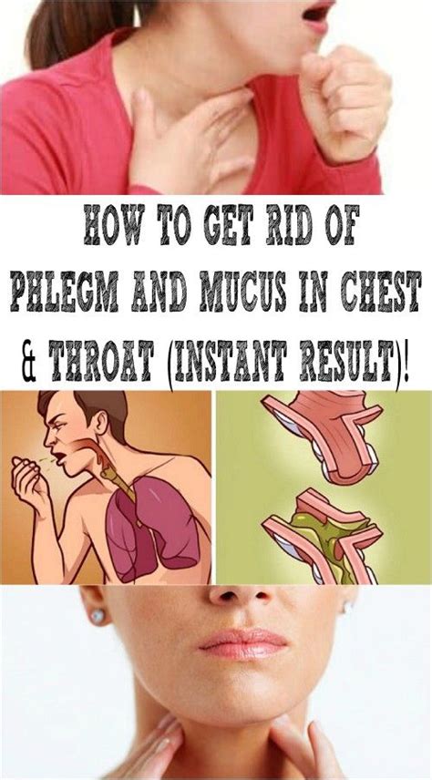 How To Get Rid Of Phlegm And Mucus In Chest And Throat Instant Result