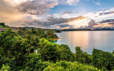 Hutan desa setianegara merupakan spot yang tepat buat kamu yang ingin sejenak menghindar dari ramainya perkotaan. 10 Resort Hutan Hujan Tropika Khazanah Negara Wajib Pergi