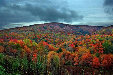 Virginia Autumn Mountains Fall In Virginia Virginia Fall