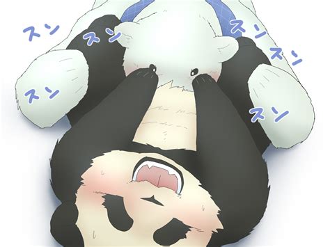 Rule 34 Bear Blush Gay Kemono Male Oral Panda Polar Bear Sex Shirokuma Shirokuma Cafe Unknown