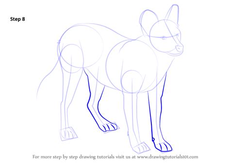 Step By Step How To Draw A Dhole