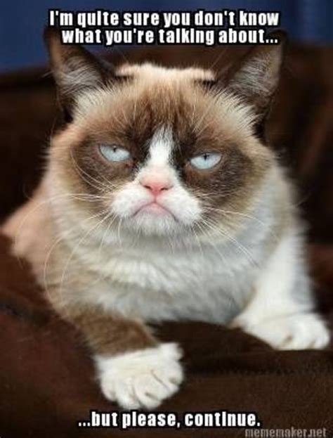 Funny Grumpy Cat Memes Grumpy Cat Meme Funny Grumpy Cat Memes Grumpy Cat
