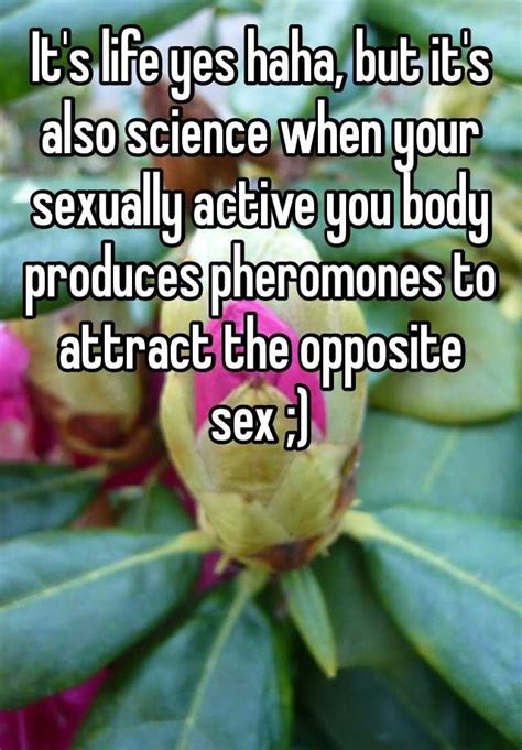 Its Life Yes Haha But Its Also Science When Your Sexually Active You