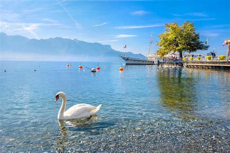 Lake Geneva Oasis Resorts