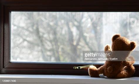 Teddy Bears Window Photos And Premium High Res Pictures Getty Images