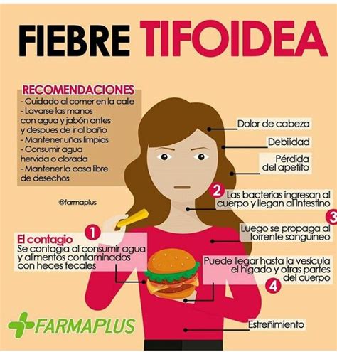 Fiebre Tifoidea Qué Es La Fiebre Tifoidea Tu Médico Al Teléfono