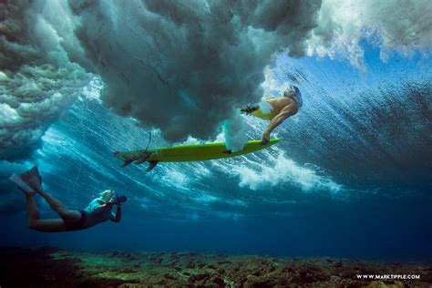 Essential Underwater Photography Tips And Gear — Sarah Lee Photo