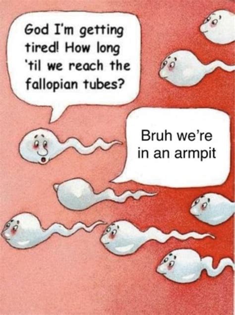 Bruh We Re In An Armpit Two Sperm Cells Talking Know Your Meme