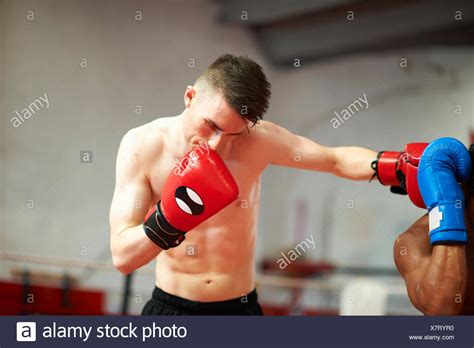 Boxers Sparring High Resolution Stock Photography And Images Alamy