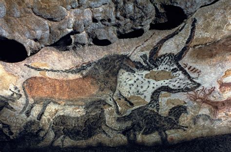 Stone Age Cave Paintings Cave Paintings Facts Dk Find Out