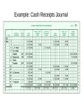 Cash Receipts Journal Template Fillable Printable Pdf Forms