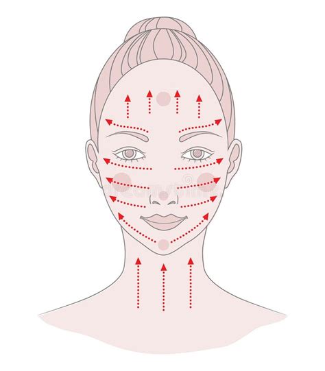 Facial Massage Facial Massage Lines For Skin Beauty And Youth Vector Illustration Stock Vector