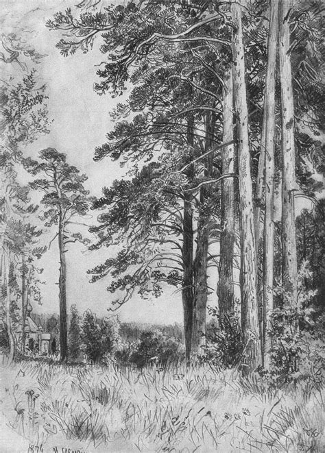 Backwoods Ivan Shishkin Russian Ива́н Ши́шкин 18321898 Was A