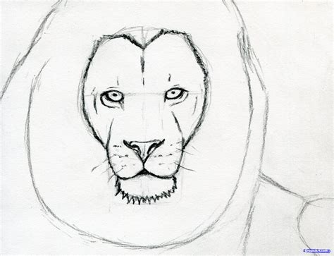Today our drawing lesson is dedicated to the king of all animals. how to sketch a lion step 7 #stepbystepfacepainting | Lion ...