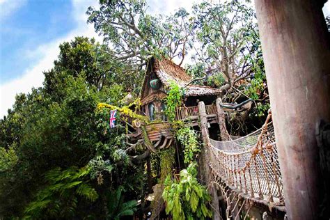 Tarzans Treehouse At Disneyland Things You Need To Know