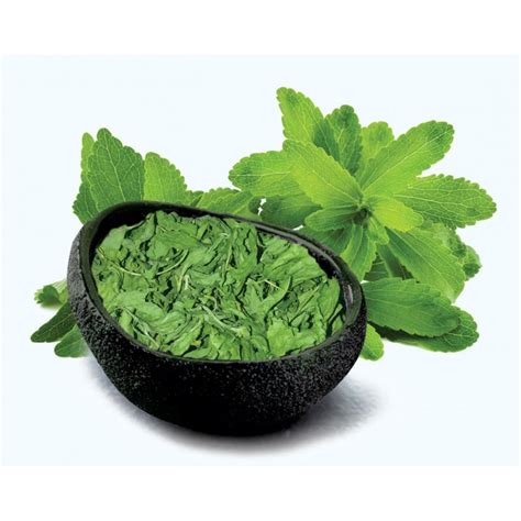 Stevia Leaves Dried Holy Natural