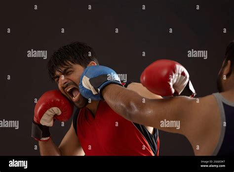 Man Being Punched In Face Hi Res Stock Photography And Images Alamy