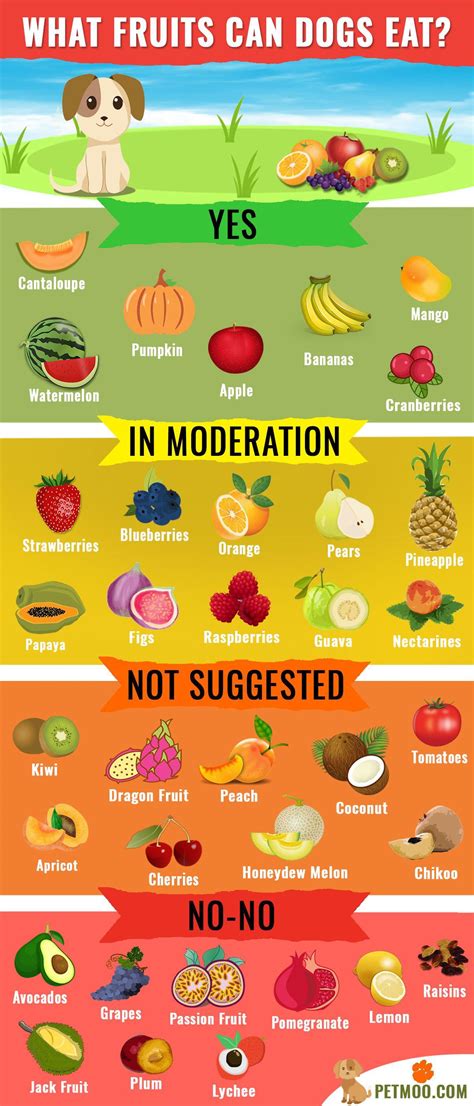 Is it healthy for them? What fruits can dogs eat? : coolguides