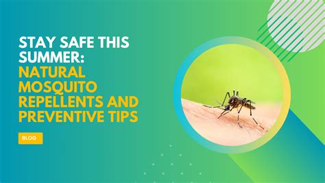 Natural Mosquito Repellents And Preventive Tips For This Summer