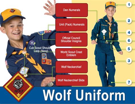 Cub Scout Bear Patch Placement Uniform And Badge Placement St Palmerston Scouts This Spot