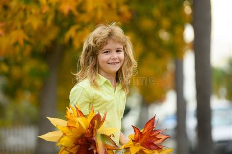 Autumn Kids Mood Child With Fall Leaves Over Maple Leaf Background