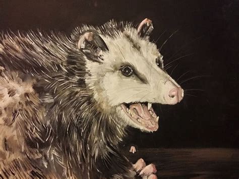 Hissing Opossum By Whattheflup On Deviantart