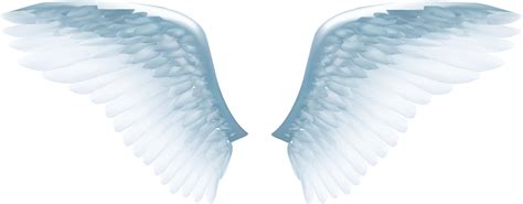 Download White Angel Wings Png - Angel Vector PNG Image with No Background - PNGkey.com