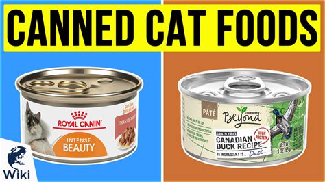 Best canned food for camping. Top 10 Canned Cat Foods of 2020 | Video Review