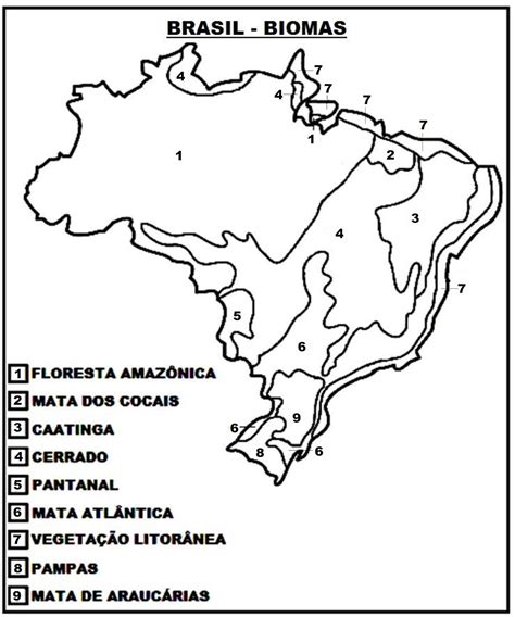 Mapa Do Brasil Legenda Para Colorir Ensino