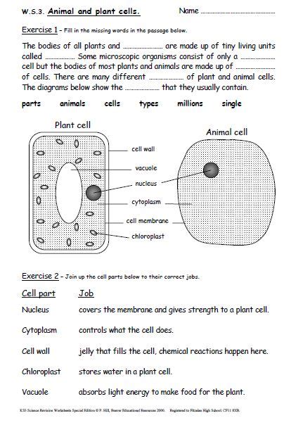 Printable science worksheets for teachers. Iman's Home-School: Key Stage 3 Science Revision Worksheets (Years 7-9)